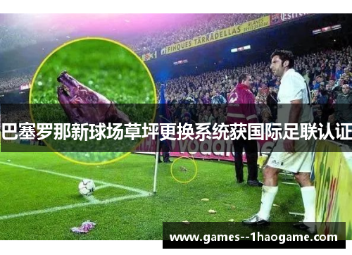 巴塞罗那新球场草坪更换系统获国际足联认证